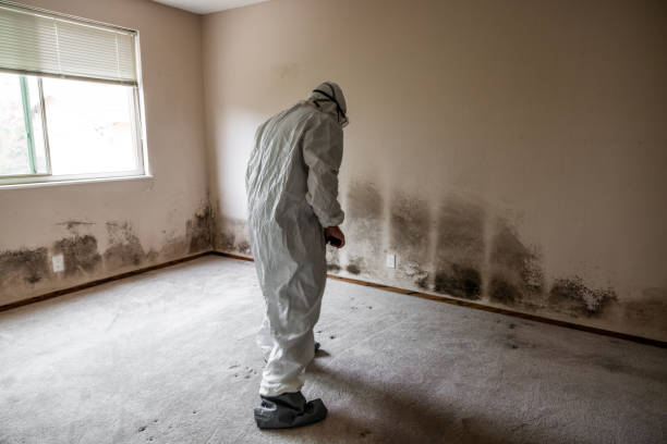 Best Industrial Mold Remediation  in Utica, OH